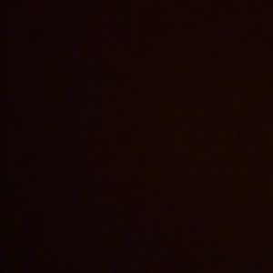 Meet your Posher, Alison